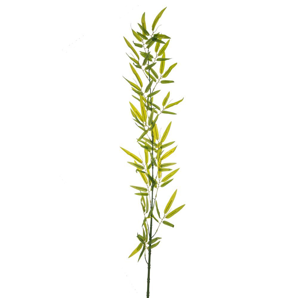 ΠΡΑΣΙΝΟ ΚΛΑΔΙ BAMBOO ΓΙΓΑΣ 1,5Μ