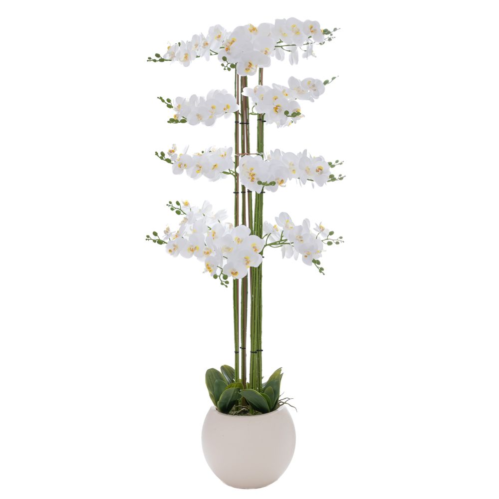 ΛΕΥΚΗ ΟΡΧΙΔΕΑ PHALAENOPSIS ΣΕ ΕΚΡΟΥ ΚΕΡΑΜΙΚΟ ΚΑΣΠΩ 160ΕΚ