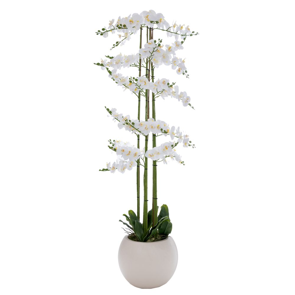 ΛΕΥΚΗ ΟΡΧΙΔΕΑ PHALAENOPSIS ΣΕ ΕΚΡΟΥ ΚΕΡΑΜΙΚΟ ΚΑΣΠΩ 190ΕΚ