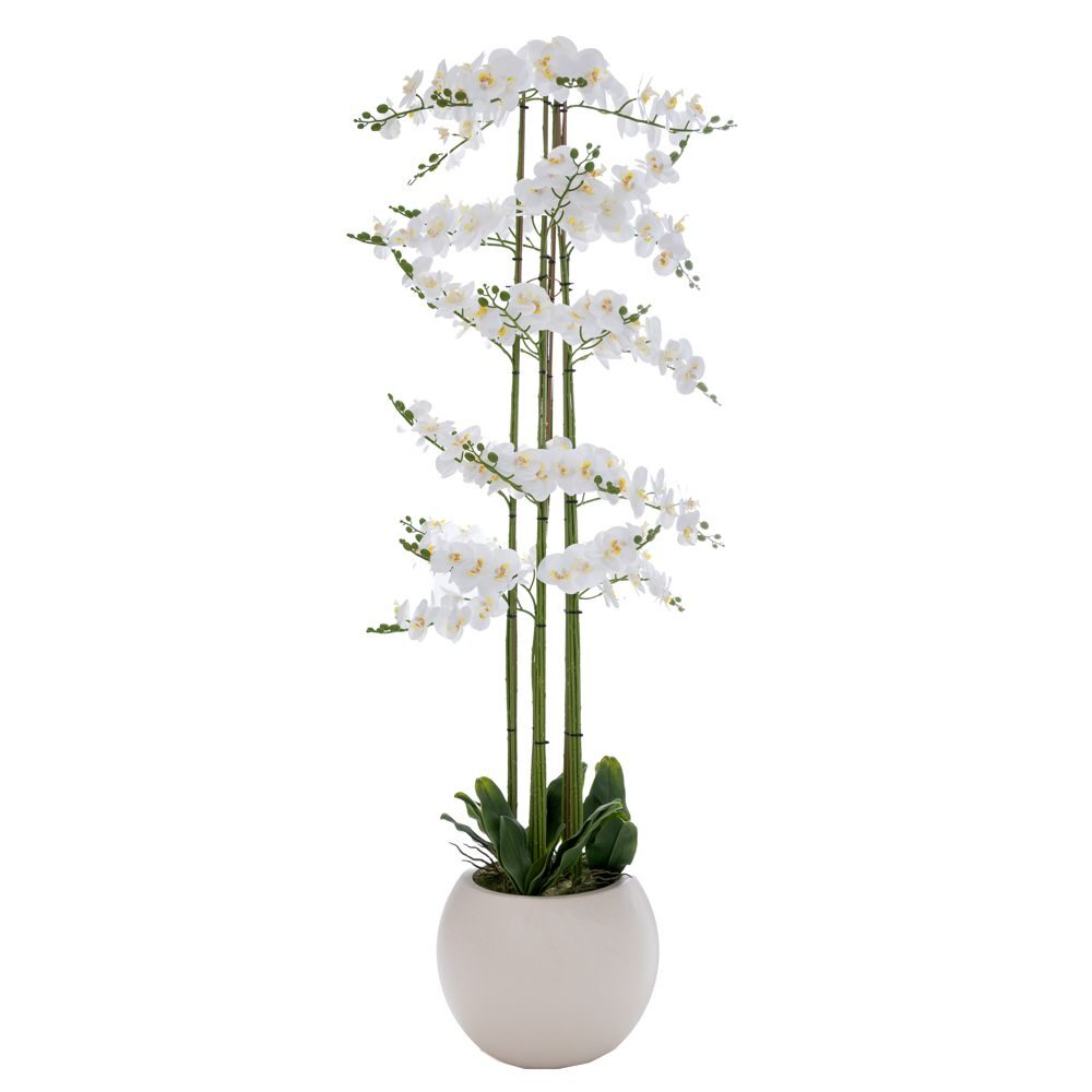 ΛΕΥΚΗ ΟΡΧΙΔΕΑ PHALAENOPSIS ΣΕ ΕΚΡΟΥ ΚΕΡΑΜΙΚΟ ΚΑΣΠΩ 190ΕΚ