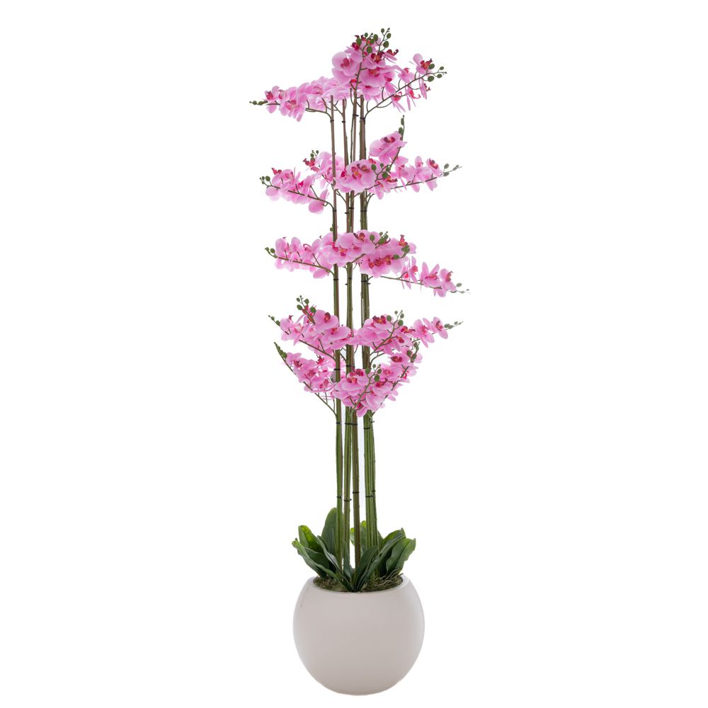ΡΟΖ ΟΡΧΙΔΕΑ PHALAENOPSIS ΣΕ ΕΚΡΟΥ ΚΕΡΑΜΙΚΟ ΚΑΣΠΩ 190ΕΚ