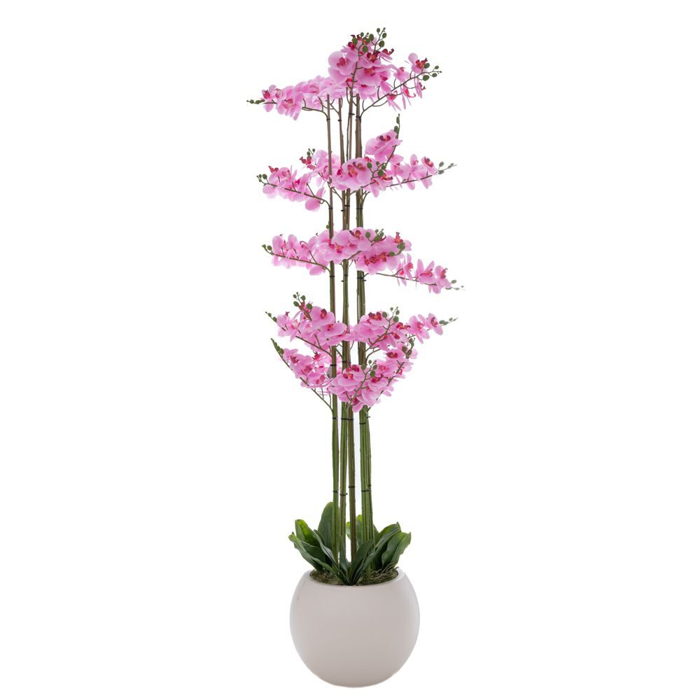 ΡΟΖ ΟΡΧΙΔΕΑ PHALAENOPSIS ΣΕ ΕΚΡΟΥ ΚΕΡΑΜΙΚΟ ΚΑΣΠΩ 190ΕΚ