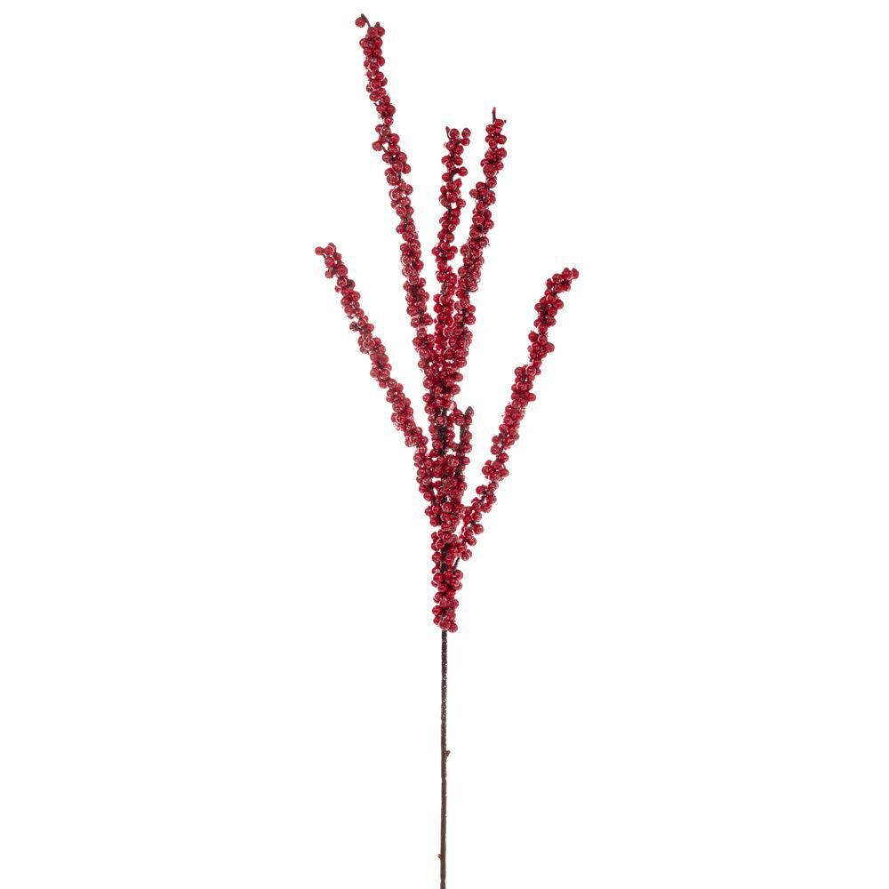 ΚΛΑΔΙ ΜΕ KOKKINA BERRIES 86 ΕΚ