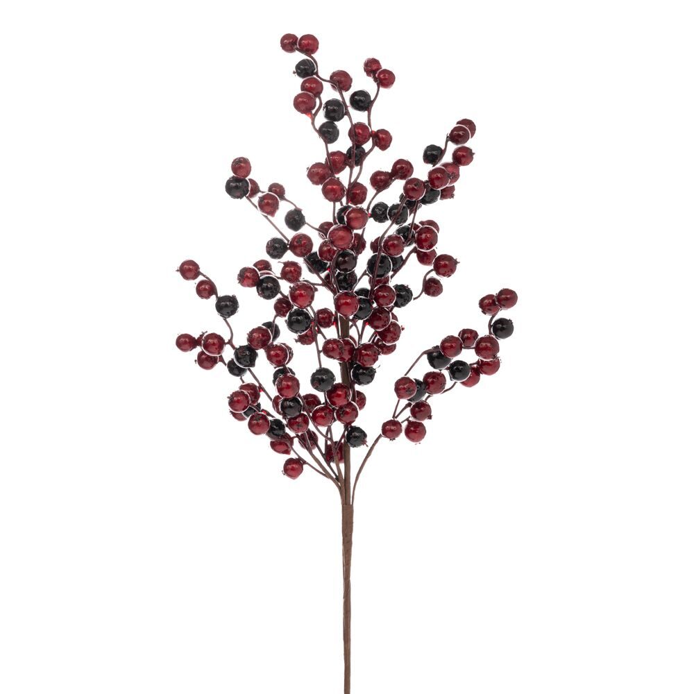 ΚΛΑΔΙ ΜΕ KOKKINA BERRIES 60 ΕΚ