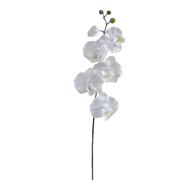 ΚΛΑΔΙ ΟΡΧΙΔΕΑ ΛΕΥΚΟ Y72cm. 36/432ΚΙΒ