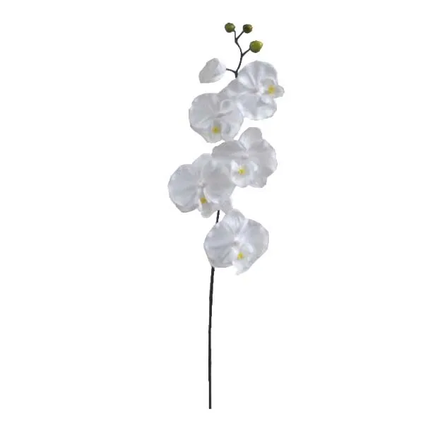 ΚΛΑΔΙ ΟΡΧΙΔΕΑ ΛΕΥΚΟ Y72cm. 36/432ΚΙΒ