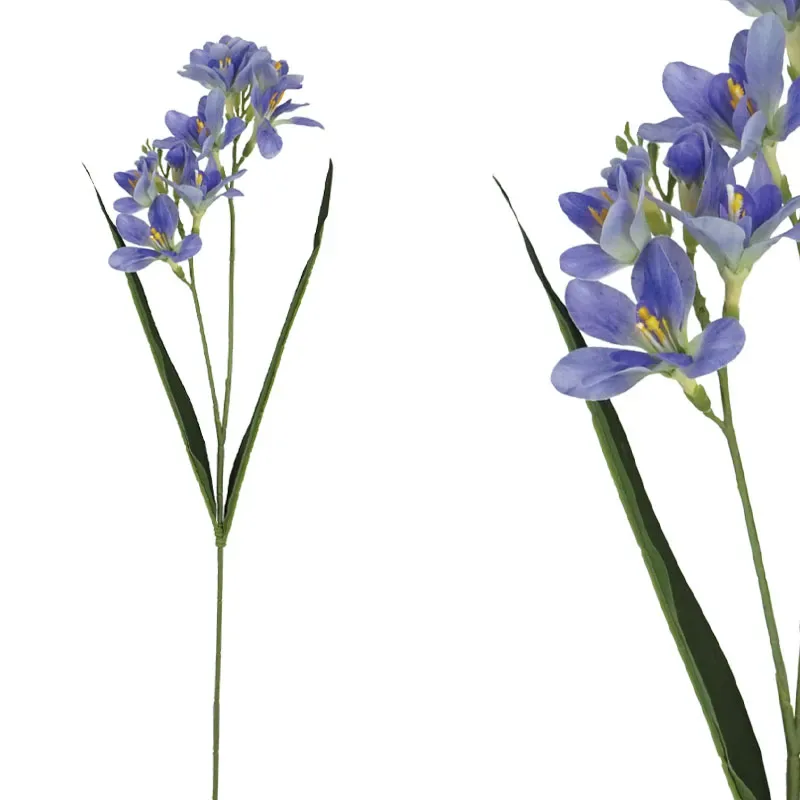 ΚΛΑΔΙ ΦΡΕΖΙΑ REAL ΜΩΒ TOUCH ΜΕ 2 ΚΛΑΔΙΑ ~ 5 ΛΟΥΛΟΥΔΙΑ - Y65cm 36/432ΚΙΒ