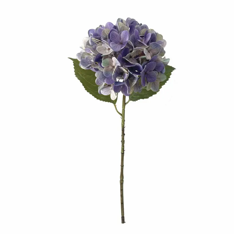 ΚΛΑΔΙ ΟΡΤΑΝΣΙΑΣ ΜΩΒ REAL TOUCH ΜΕ 2 ΦΥΛΛΑ - Φ22.5x55cm 24/240ΚΙΒ