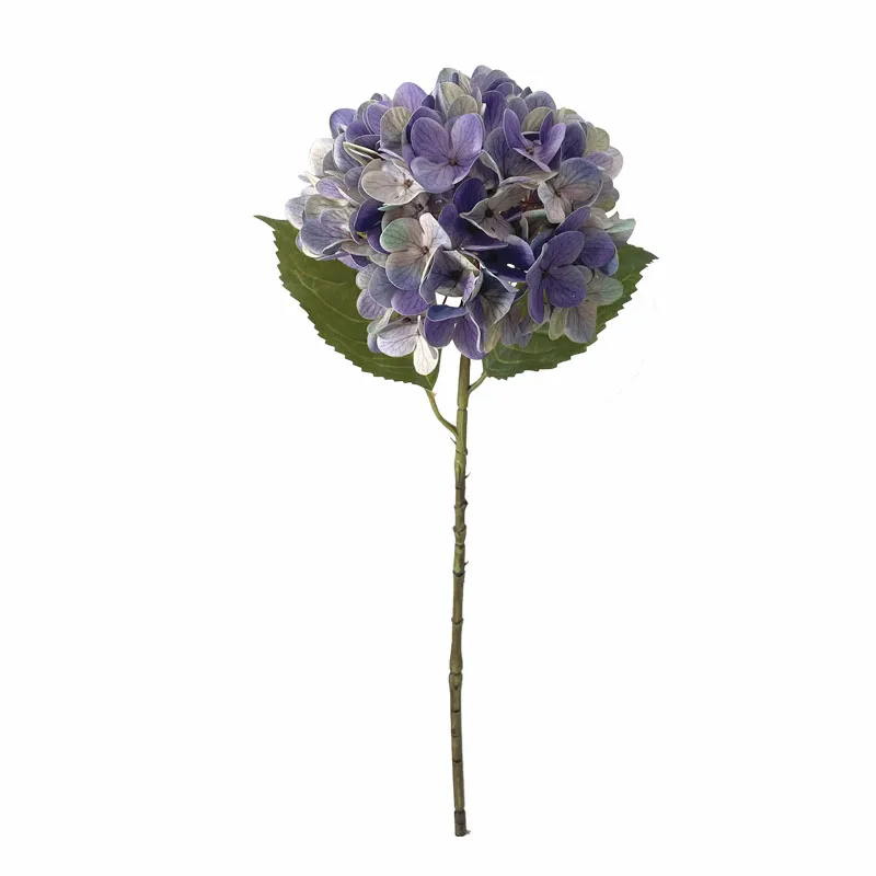 ΚΛΑΔΙ ΟΡΤΑΝΣΙΑΣ ΜΩΒ REAL TOUCH ΜΕ 2 ΦΥΛΛΑ - Φ22.5x55cm 24/240ΚΙΒ