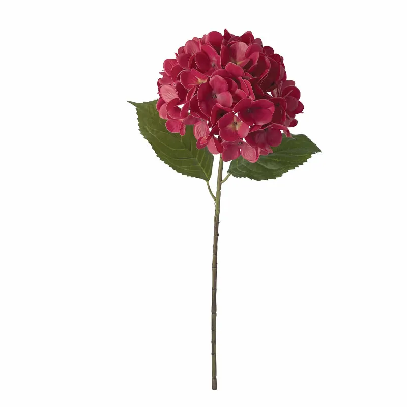 ΚΛΑΔΙ ΟΡΤΑΝΣΙΑΣ ΚΟΚΚΙΝΟ REAL TOUCH ΜΕ 2 ΦΥΛΛΑ - Φ22.5x55cm 24/240ΚΙΒ