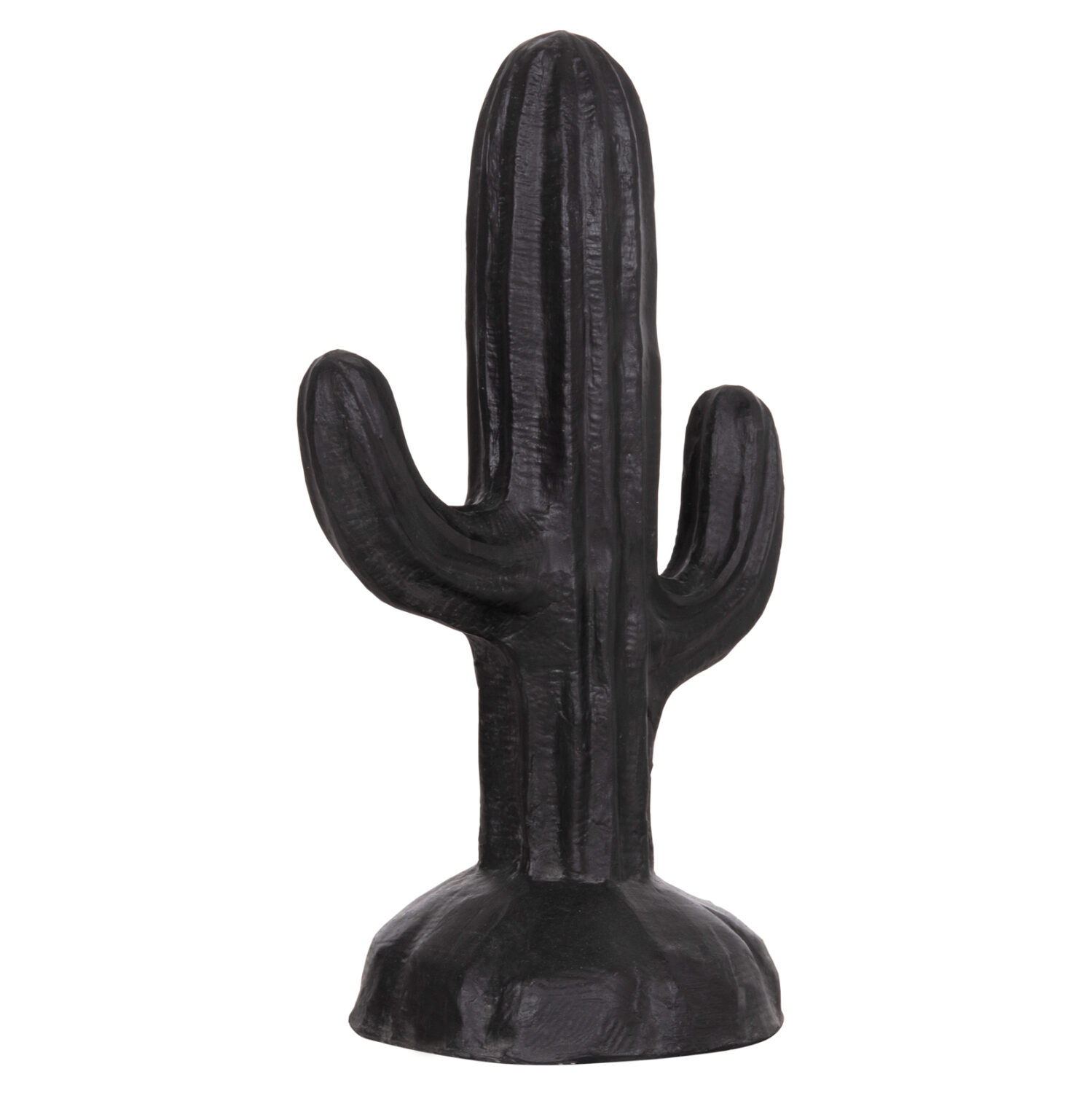 ΔΙΑΚΟΣΜΗΤΙΚΟΣ ΚΑΚΤΟΣ ΔΑΠΕΔΟΥ CACTUS HM4386.01S ΓΥΨΟΣ ΣΕ ΜΑΥΡΟ 42x30x74Υεκ.