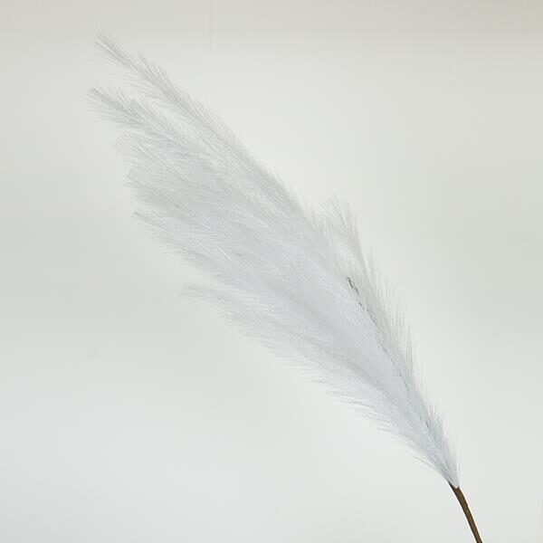 ΚΛΑΔΙ ΠΑΜΠΑΣ ΛΕΥΚΟ 112cm|758-12133