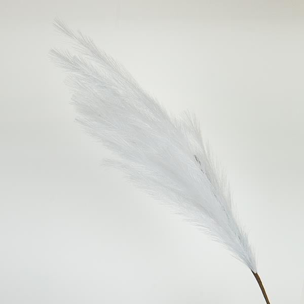 ΚΛΑΔΙ ΠΑΜΠΑΣ ΛΕΥΚΟ 112cm|758-12133