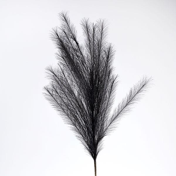 ΠΑΜΠΑΣ/ ΚΛΑΔΙ ΜΑΥΡΟ 112cm|816-50073