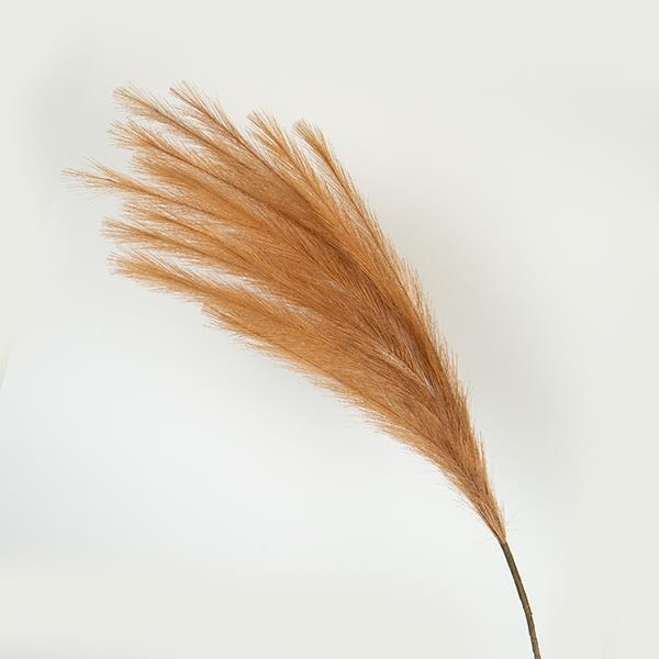 ΚΛΑΔΙ ΠΑΜΠΑΣ ΑΝΟΙΧΤΟ ΚΑΦΕ 112cm|758-12132
