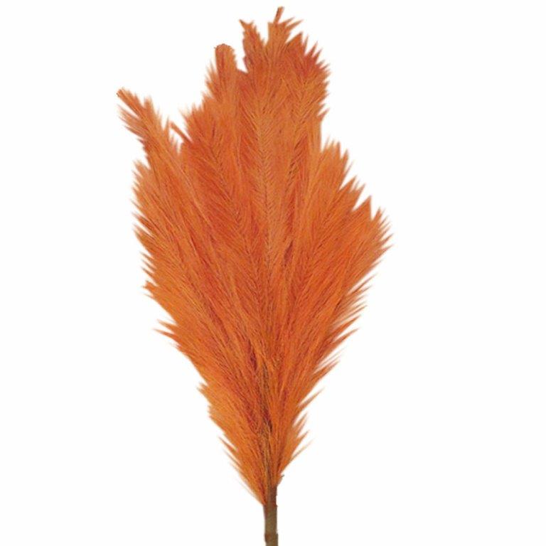 ART ET LUMIERE ΚΛΑΔΙ PAMPAS ΠΟΡΤΟΚΑΛΙ - SKU -10639