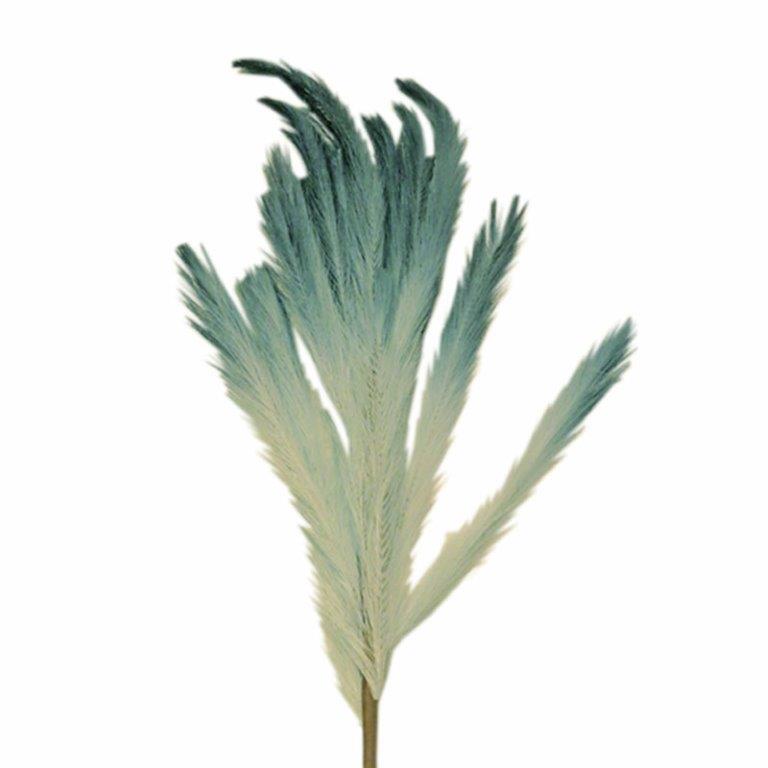 ART ET LUMIERE ΚΛΑΔΙ PAMPAS ΤΥΡΚΟΥΑΖ-ΜΠΛΕ - SKU -10641