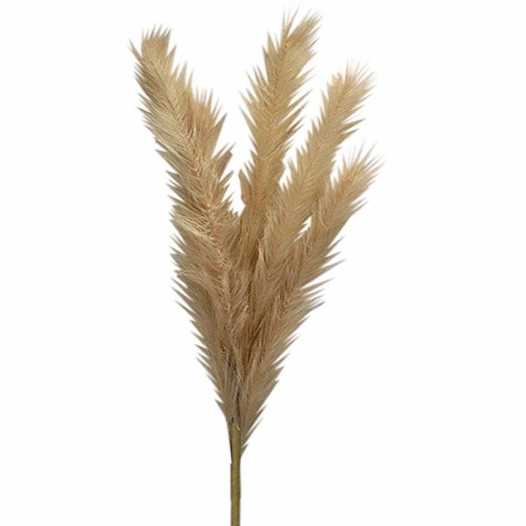 ART ET LUMIERE ΚΛΑΔΙ PAMPAS ΙΒΟΥΑΡ - SKU -10642