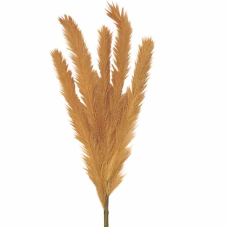 ART ET LUMIERE ΚΛΑΔΙ PAMPAS ΜΠΕΖ - SKU -10644