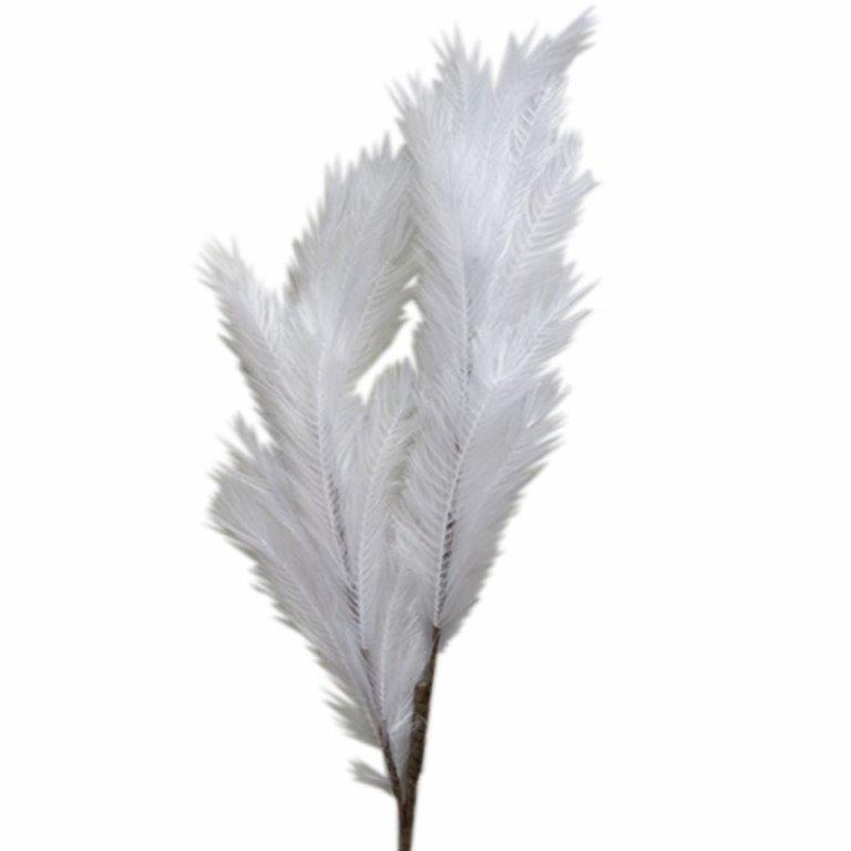 ART ET LUMIERE ΚΛΑΔΙ PAMPAS ΛΕΥΚΟ - SKU -10650