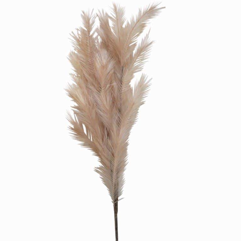 ART ET LUMIERE ΚΛΑΔΙ PAMPAS ΙΒΟΥΑΡ - SKU -10740