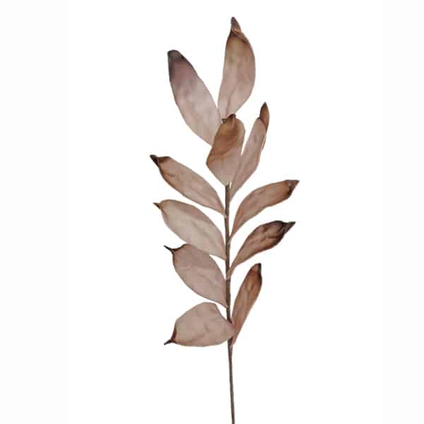 ART ET LUMIERE ΚΛΑΔΙ ΜΕ ΦΥΛΛΑ ΙΒΟΥΑΡ-ΚΑΦΕ - SKU -08646